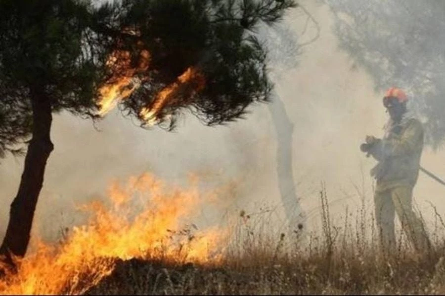 Δασική πυρκαγιά στην Ηλεία! 20 πυροσβέστες με 10 οχήματα στο σημείο